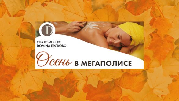 Программа «Осень в мегаполисе»